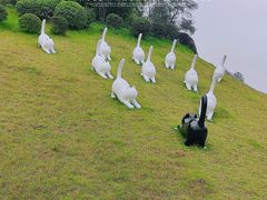 -广州雕塑公园