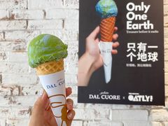 燕麦地球-Dal Cuore 达可芮冰淇淋(陕西北路店)