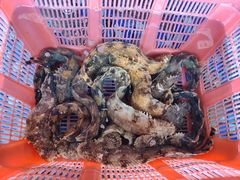 -大门水乡·顺德菜