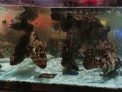 -阿伟海鲜楼·福建菜(延寿店)