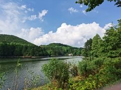 -庐山风景区花径公园