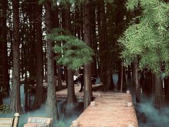 -东湖落雁景区