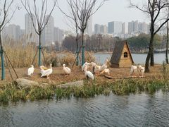 -武汉动物园