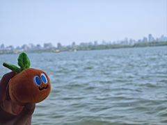-西湖游船