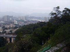 -金鸡山公园