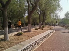 -丁香湖公园
