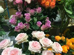 -谷莠子花艺·气球派对·绿植造景·花艺沙龙(金光华广场店)