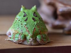 -三旗百汇商品城