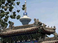 -宝轩渔府·老字号海鲜·正宗津菜(水上店)