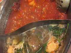 -朱光玉火锅馆(正弘城店)