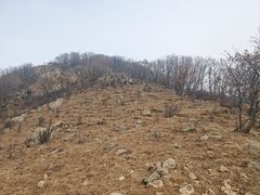 -白草畔自然风景区