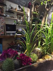 -周忆刺青原创设计定制