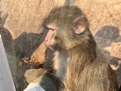 -北京鹿世界主题园