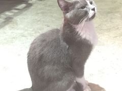 -MIKAKU(万达广场上海宝山店)