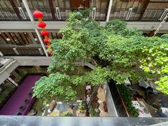 -广州酒家(文昌总店)