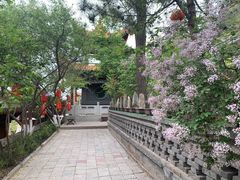 -土楼观-北禅寺