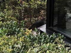 -肯德基(孝陵卫地铁站店)