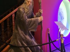 -疯克大象美式烤肉餐厅