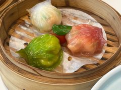 -点都德·毕德寮