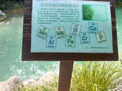 -上海吴淞炮台湾国家湿地公园