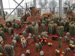 -南通洲际绿博园