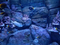 -成都浩海立方海洋公园