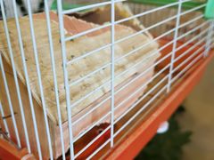 -杭州香格里拉·香宫中餐厅