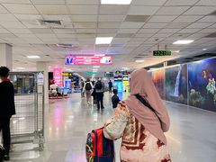 -班达拉奈克国际机场