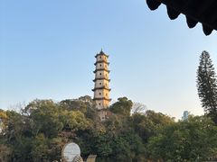 -江心屿景区