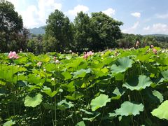 -韶山毛泽东同志故居