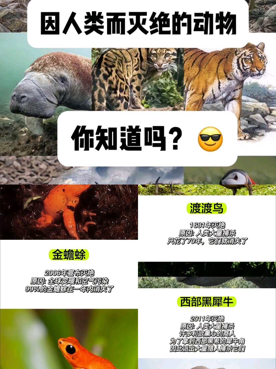 人类灭绝过几次图片