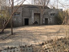 -北京动物园