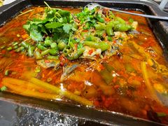 -院8里·少城记忆老川菜(宽窄巷子店)