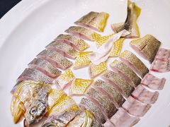 堂灼招牌东海大黄鱼-黄鱼馆Jhouse(外滩店)