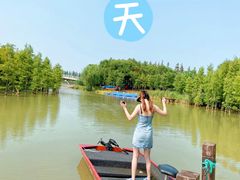 -上海长兴岛郊野公园