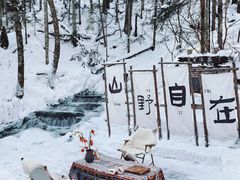 -峡谷浮石林景区