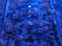 -四海蒸鲜蒸汽海鲜自助(北戴河店)