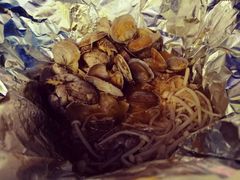 -花甲大咖(曼哈顿店)