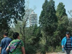 -原山国家森林公园