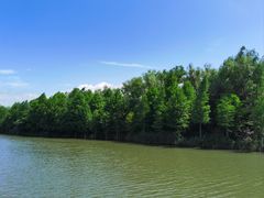 -泗洪洪泽湖湿地景区