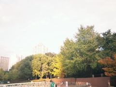 -苏州河梦清园环保主题公园