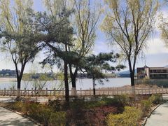 -青龙湖公园