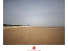 -日照海滨国家森林公园