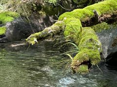 -叠溪松坪沟景区