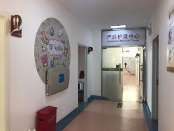 -北京安琪