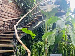 -北京植物园-展览温室