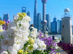 -北外滩滨江绿地