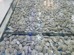 -福泉海码头(六里山店)
