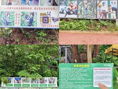 -芦仙山景区-飞越丛林探险乐园