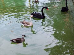 -泰安地下龙宫景区